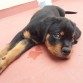 Con 2 meses